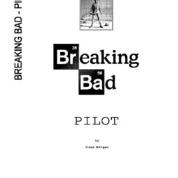 Breaking Bad - Pilot