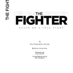 Fighter