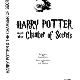 Harry Potter & the Chamber of Secrets