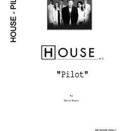 House - Pilot