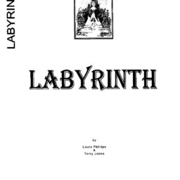 Labyrinth