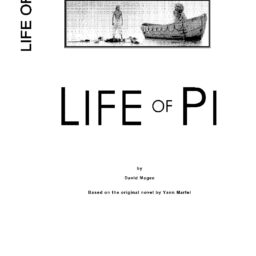 Life of Pi