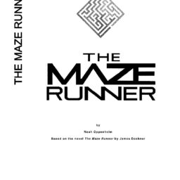 Maze Runner