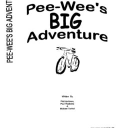 Pee-Wee’s Big Adventure