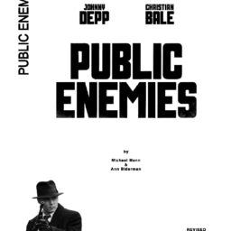 Public Enemies