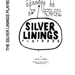 Silver Linings Playbook