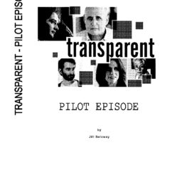 Transparent - Pilot