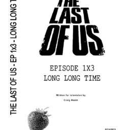 Last of Us - Long Long Time