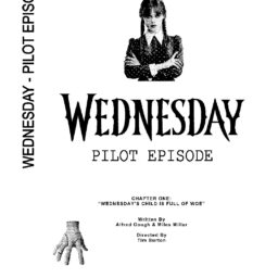 Wednesday - Pilot